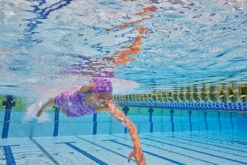 Amanzi - Glacial Ladies Kneelength -UK Swimsuit Sales 2024 amanzi glacial ladies kneelength 7