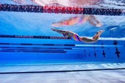 Funkita - Fine Lines - Ladies Single Strap One Piece -UK Swimsuit Sales 2024 funkita fine lines single strap ladies one piece 6