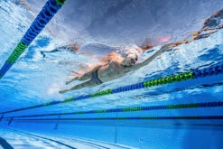 Funky Trunks - Royal Fleet - Mens Sidewinder Trunks -UK Swimsuit Sales 2024 funky trunks royal fleet mens sidewinder trunks 9