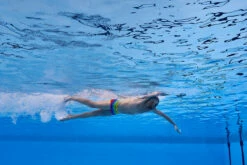 Funky Trunks - Wing It - Mens Plain Front Trunks -UK Swimsuit Sales 2024 funky trunks wing it mens plain front trunks 11