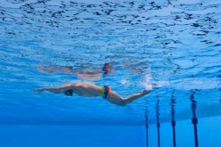 Funky Trunks - Wing It - Mens Plain Front Trunks -UK Swimsuit Sales 2024 funky trunks wing it mens plain front trunks 12